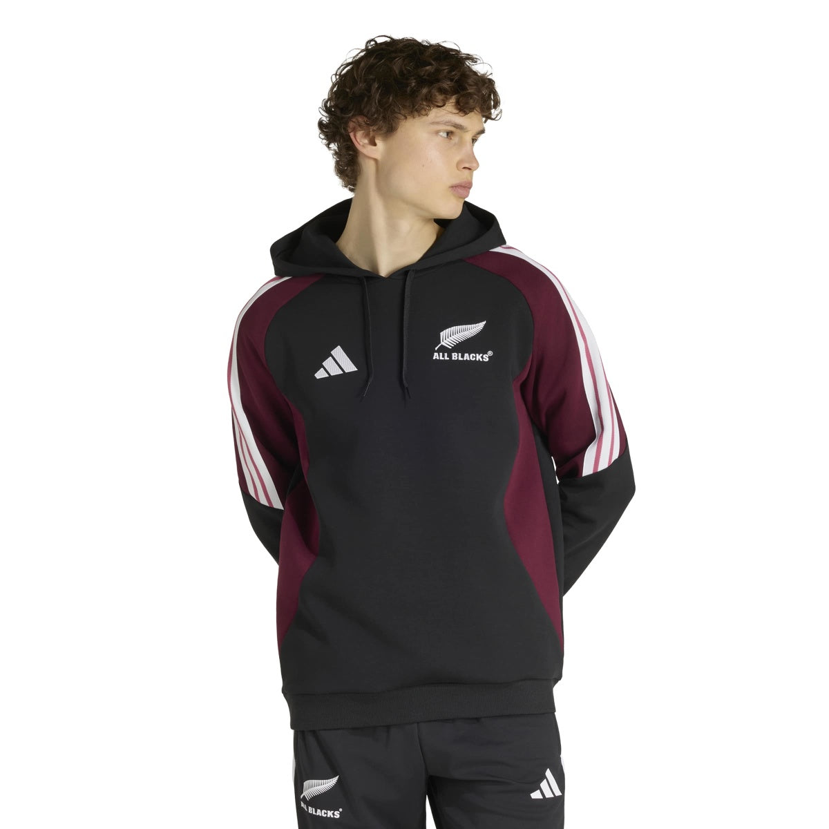 adidas Men's All Blacks Hoody-2