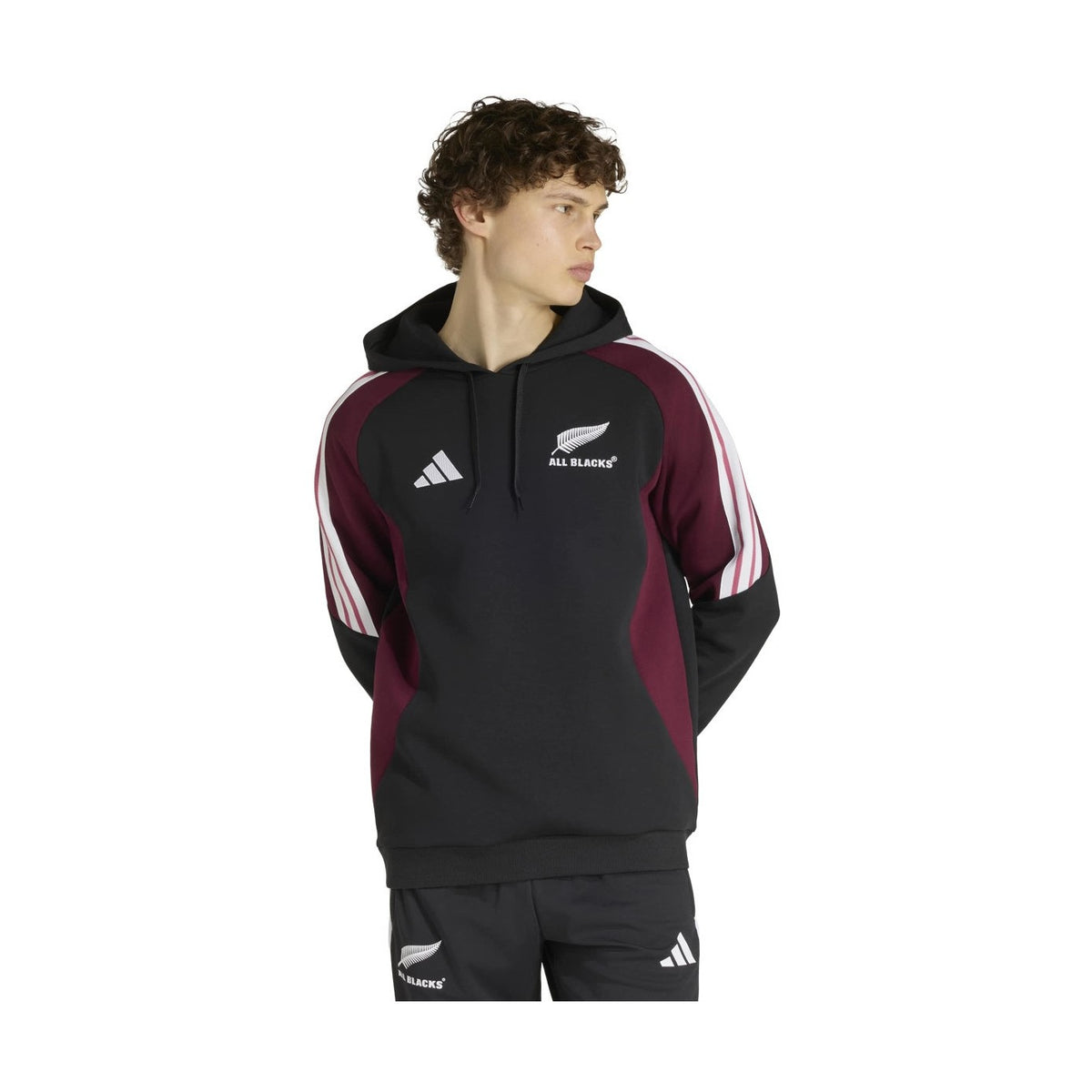 adidas Men's All Blacks Hoody-2