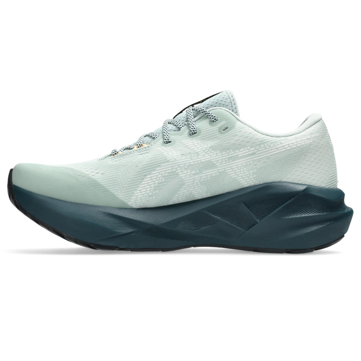 Asics Men's Novablast 5 Trail Running Shoes Mens Footwear Training & Running