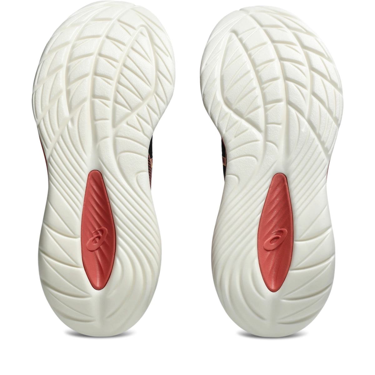 Asics Women's Gel-Cumulus 27 Running Shoes Womens Footwear Training & Running