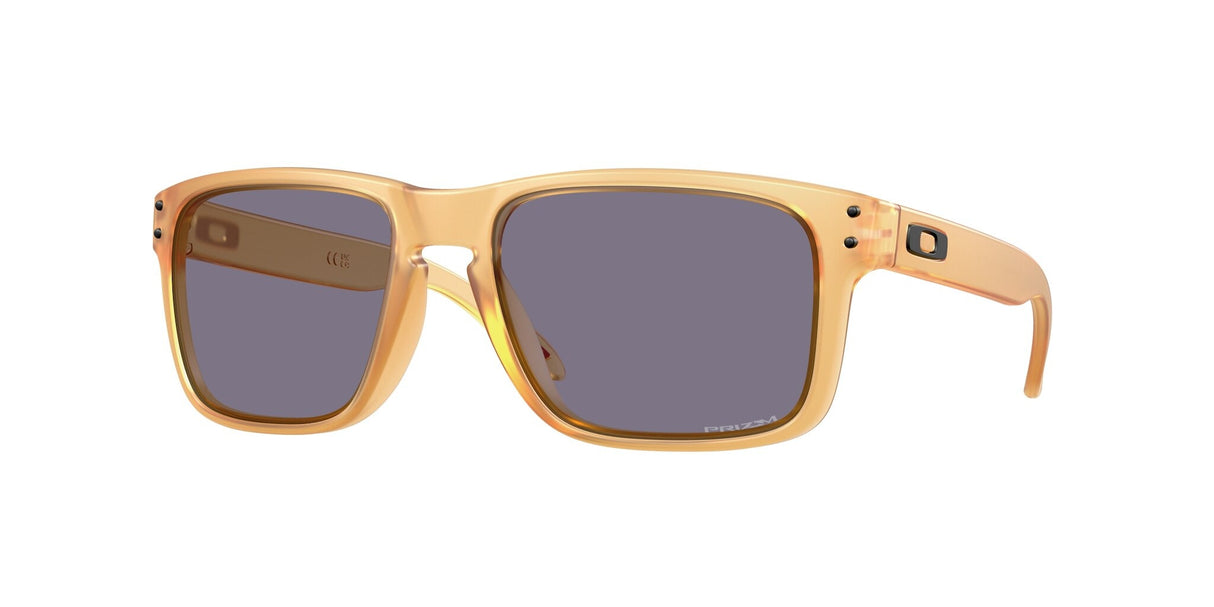 Oakley Holbrook Glasses-1