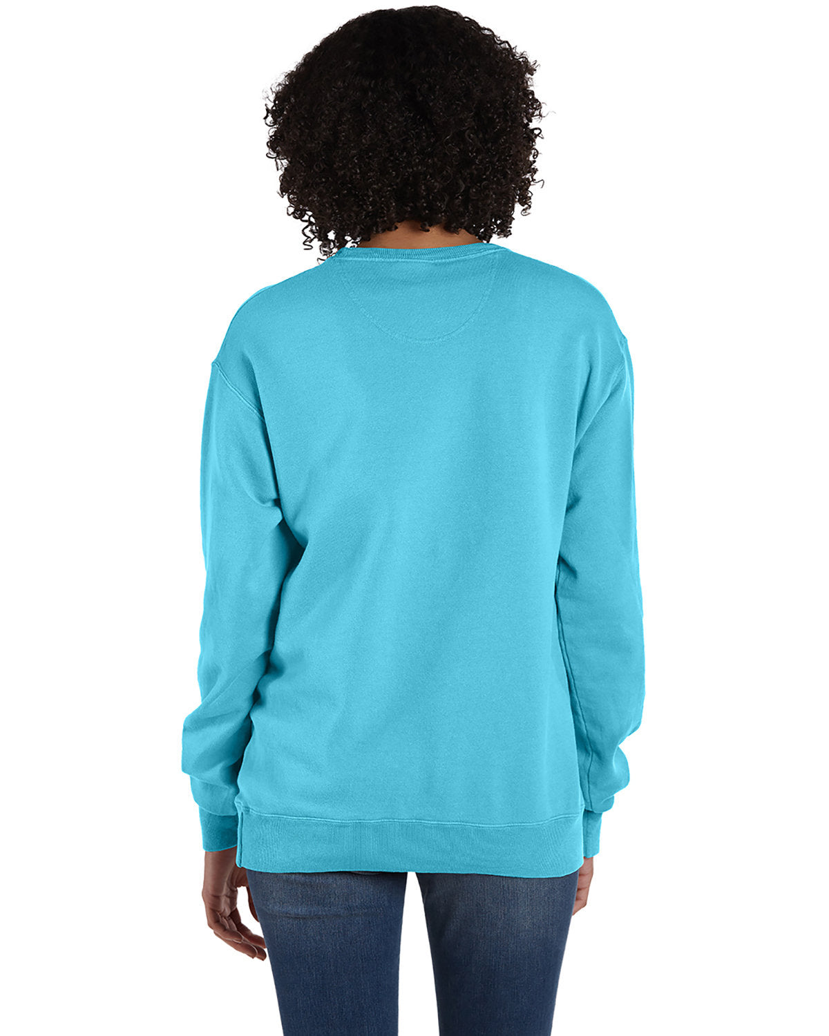Hanes Women's ComfortWash Crew Sweatshirt-3