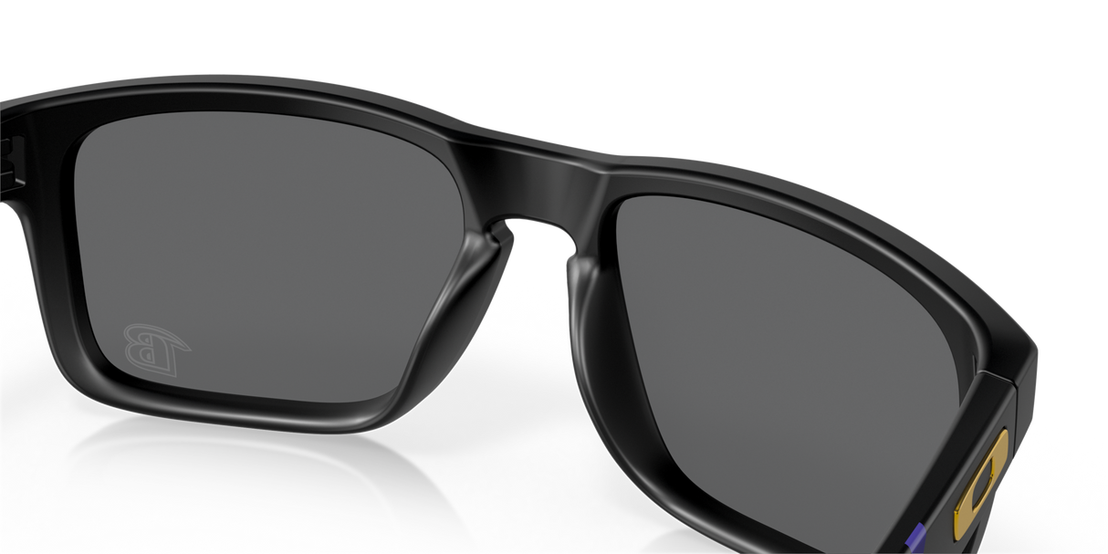 Oakley Holbrook NFL Glasses-10