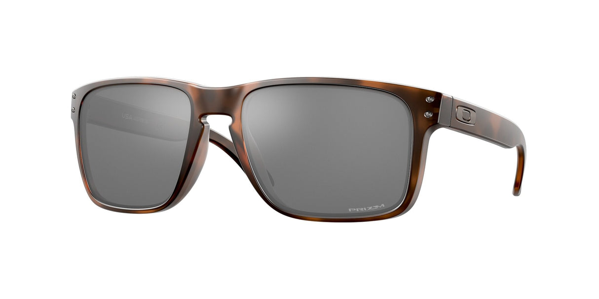 Oakley Holbrook XL Glasses-1