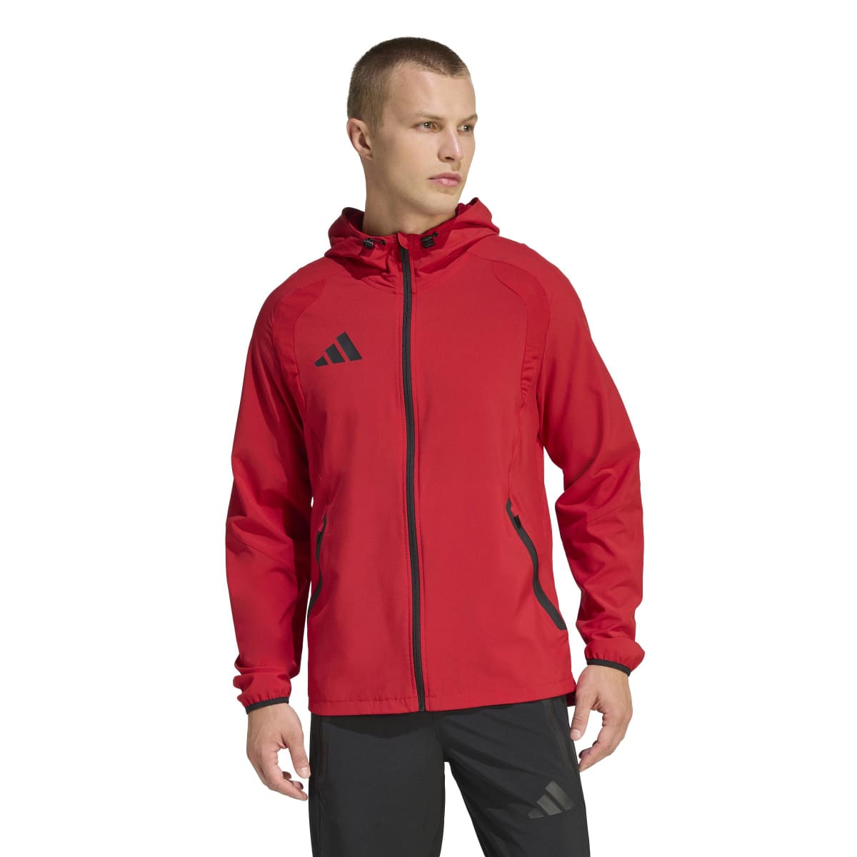 341475026.jpg