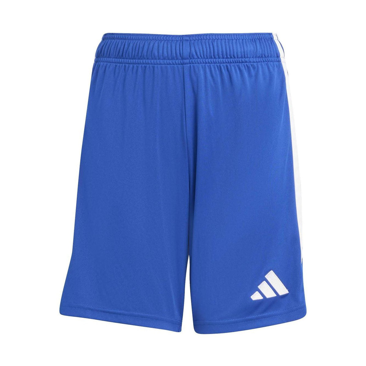 347459464.jpg