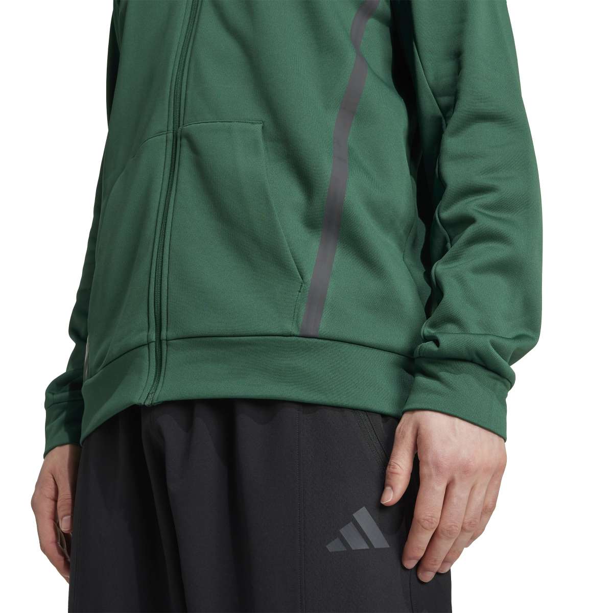 347467203.jpg