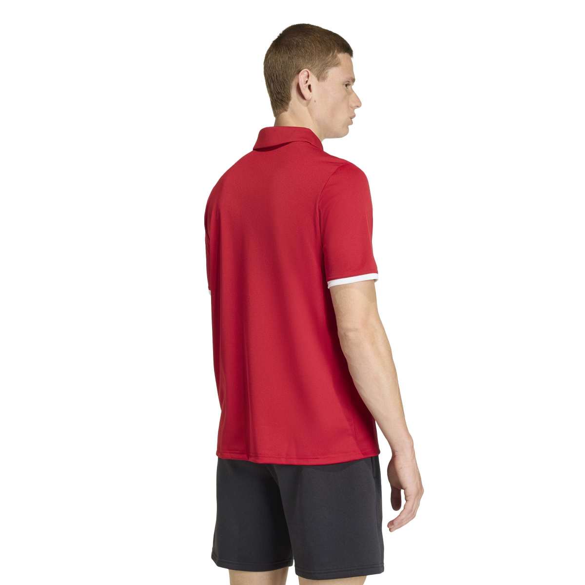 adidas Men's Entrada26 Polo-5