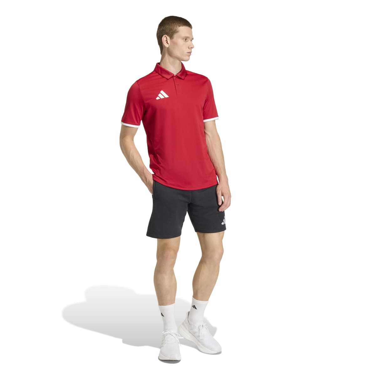 adidas Men's Entrada26 Polo-6