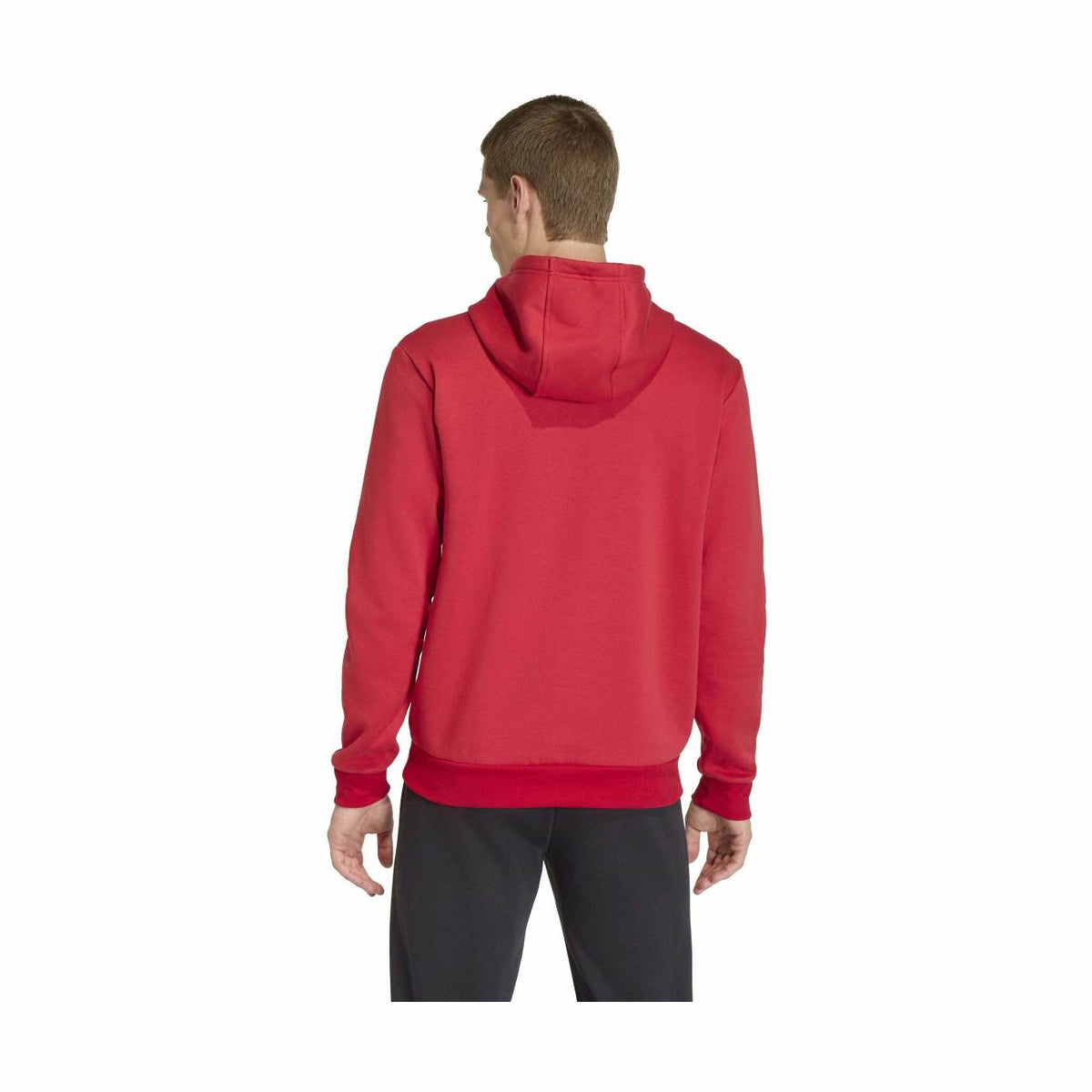 adidas Men's Entrada26 Hoodie-3