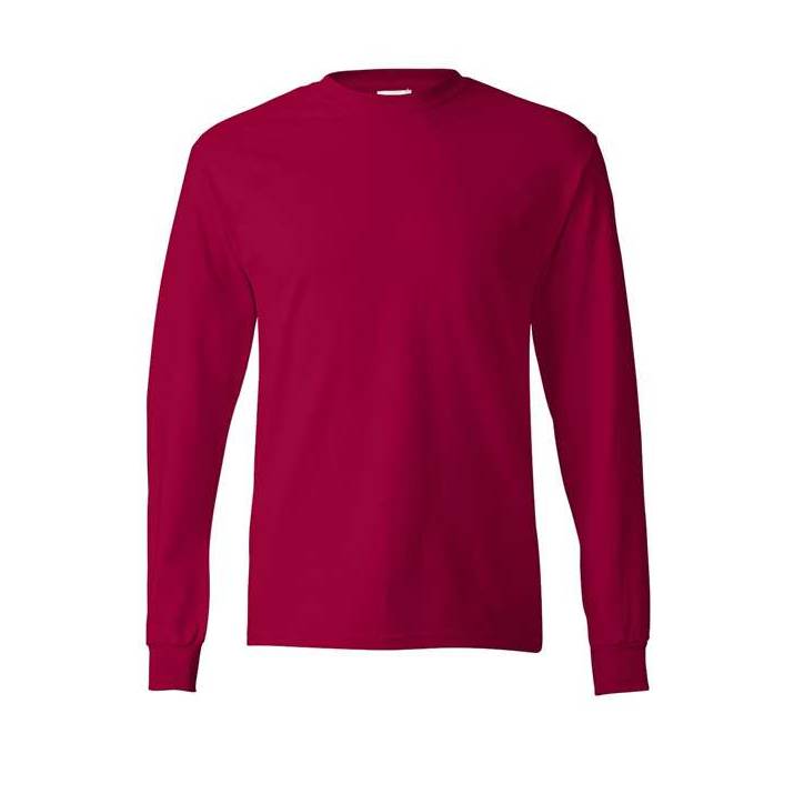 Hanes Men's Authentic 100% Cotton Long Sleeve T-Shirt 5586-1