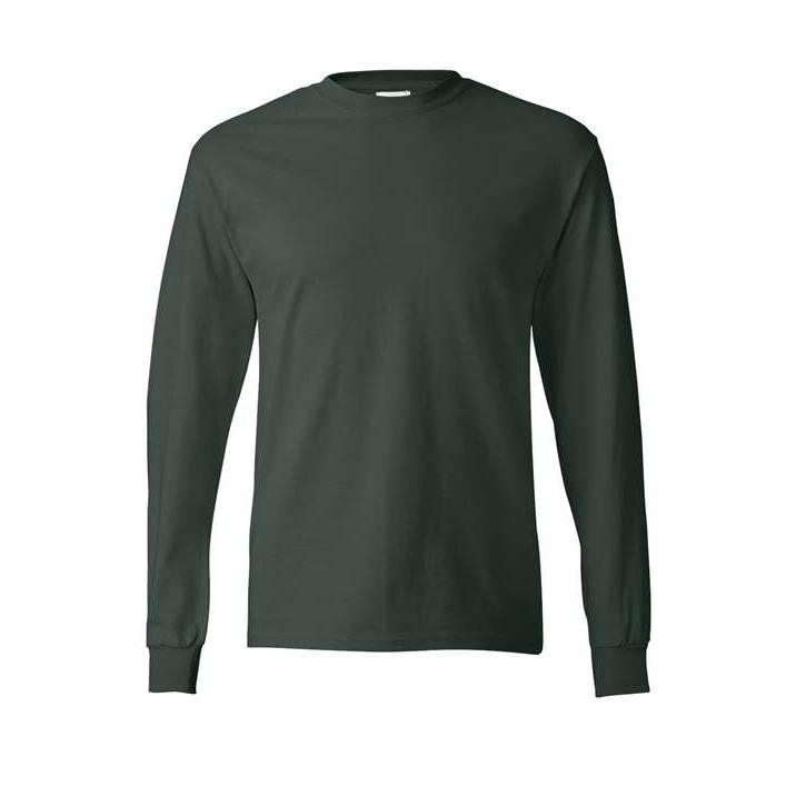 Hanes Men's Authentic 100% Cotton Long Sleeve T-Shirt 5586-1