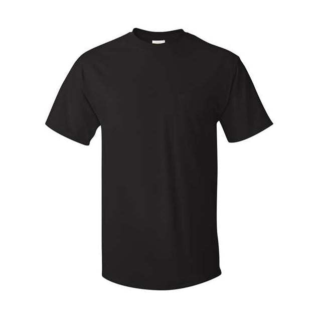 Hanes Men's Authentic 100% Cotton T-Shirt with Pocket-1