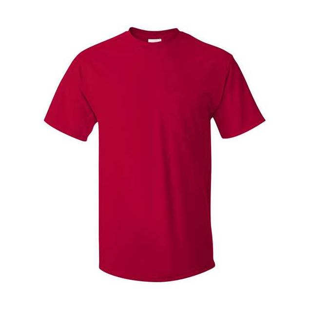 Hanes Men's Authentic 100% Cotton T-Shirt with Pocket-1