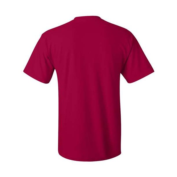 Hanes Men's Authentic 100% Cotton T-Shirt with Pocket-3