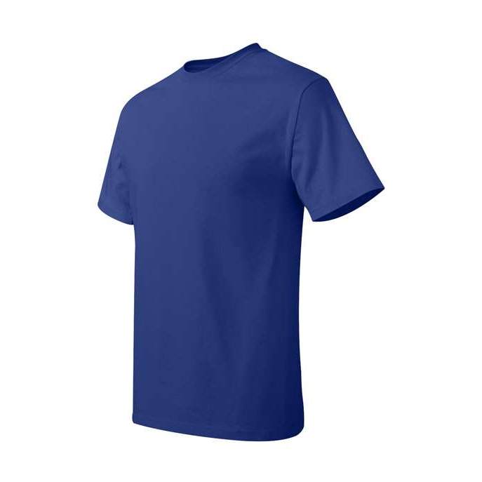 Hanes Men's Authentic T-Shirt-2