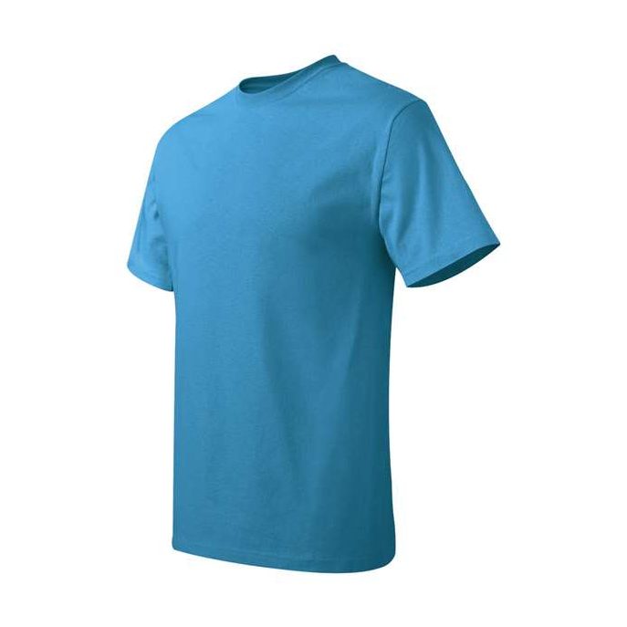 Hanes Men's Authentic T-Shirt-2