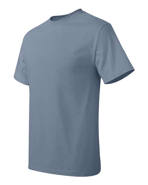 Hanes Men's Authentic T-Shirt-2