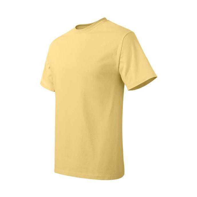 Hanes Men's Authentic T-Shirt-2