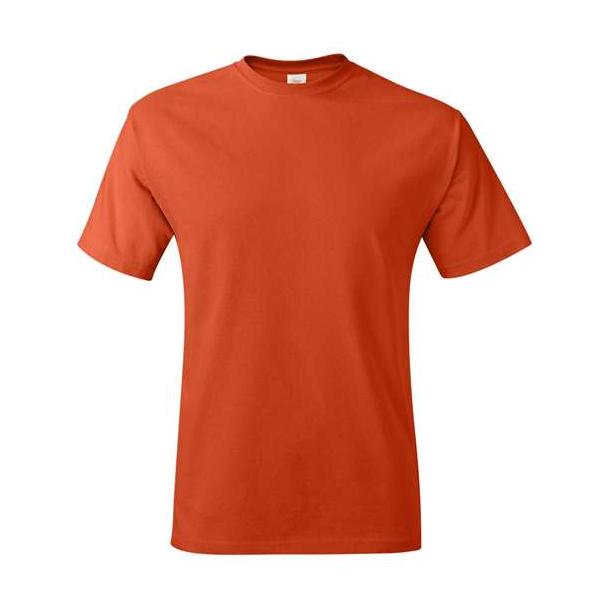 Hanes Men's Authentic T-Shirt-1