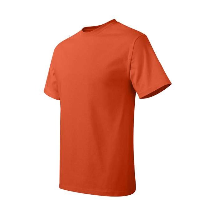 Hanes Men's Authentic T-Shirt-2