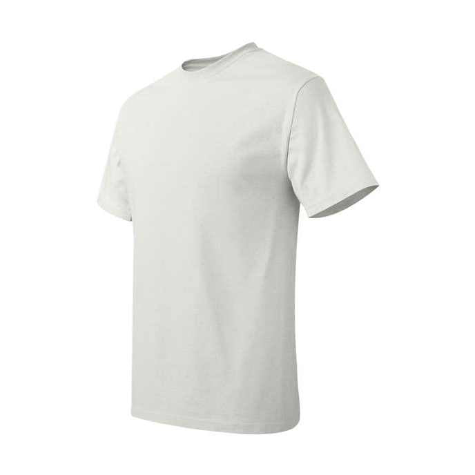 Hanes Men's Authentic T-Shirt-2