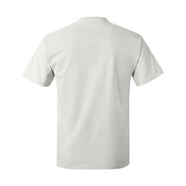 Hanes Men's Authentic T-Shirt-3