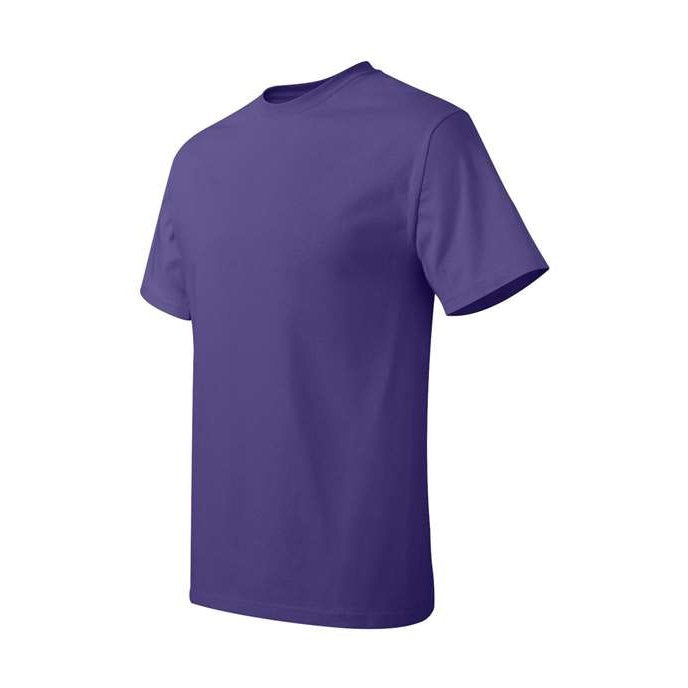 Hanes Men's Authentic T-Shirt-2