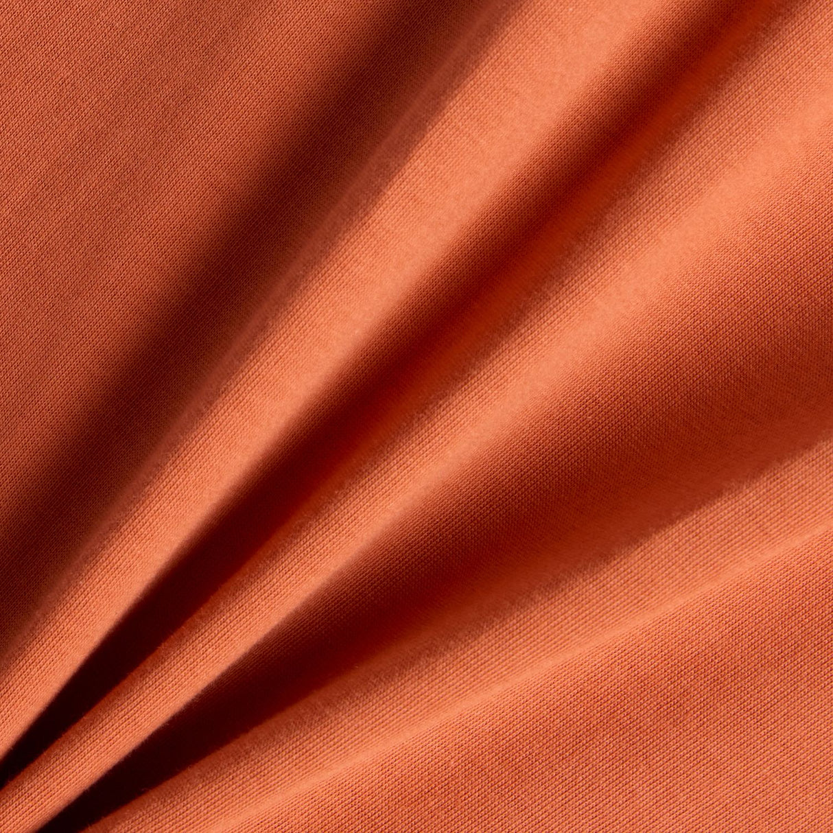 355661565.jpg