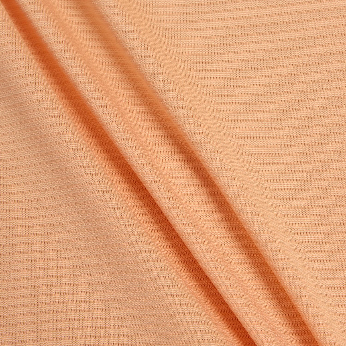 355682397.jpg