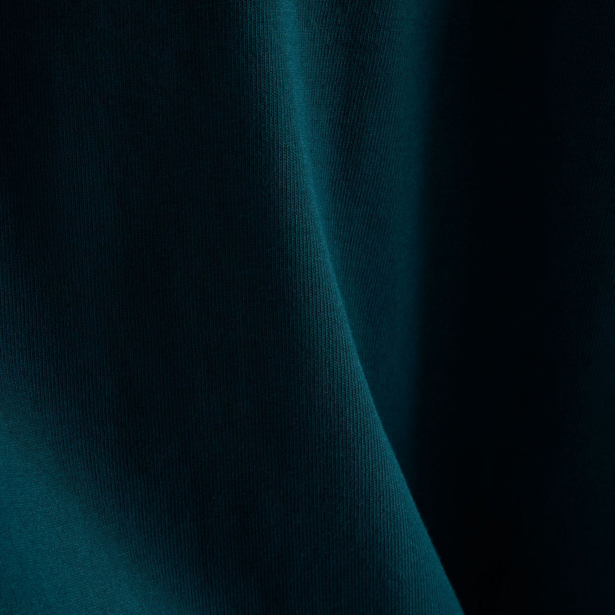 355692113.jpg