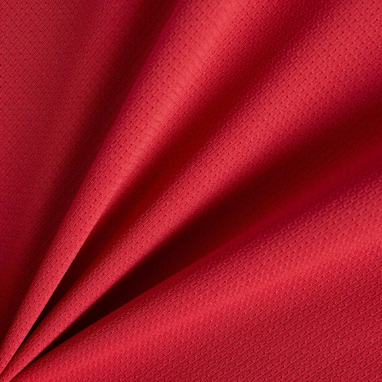 355702204.jpg