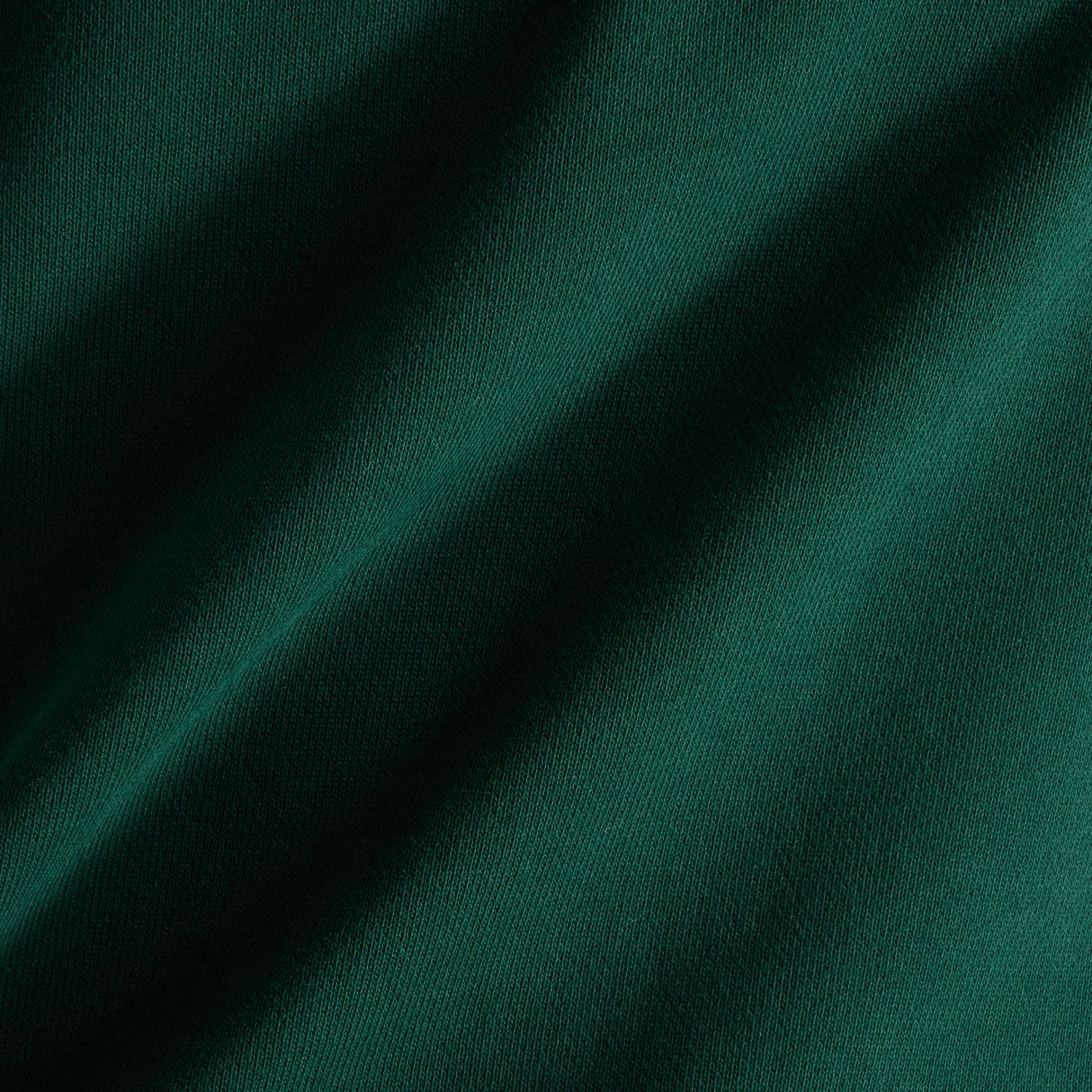 355706037.jpg