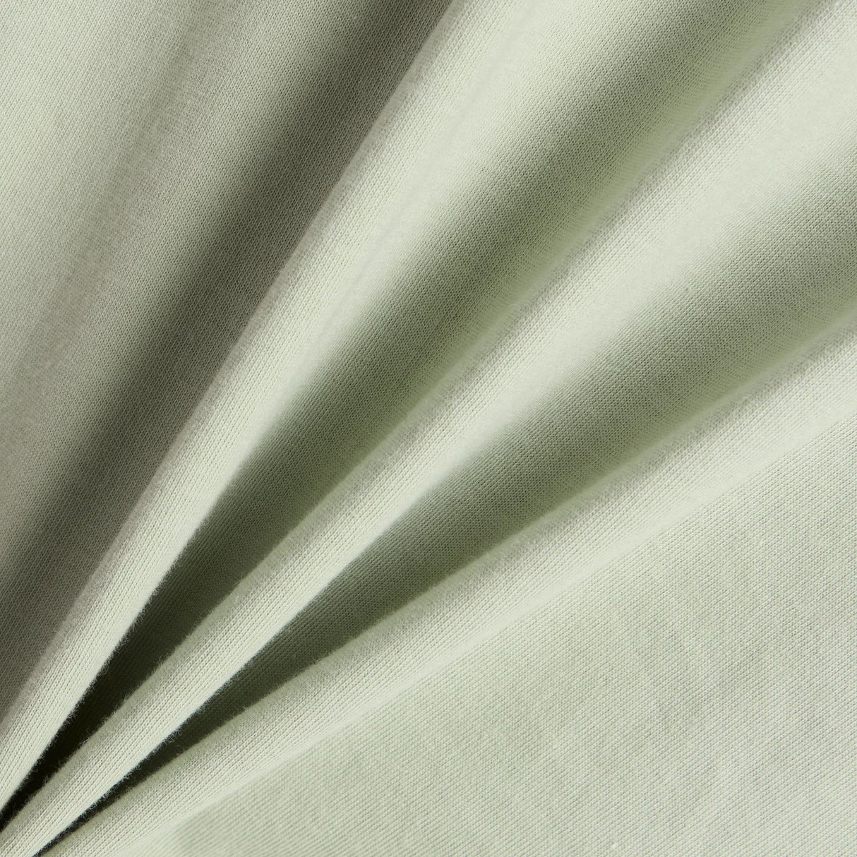 355708818.jpg