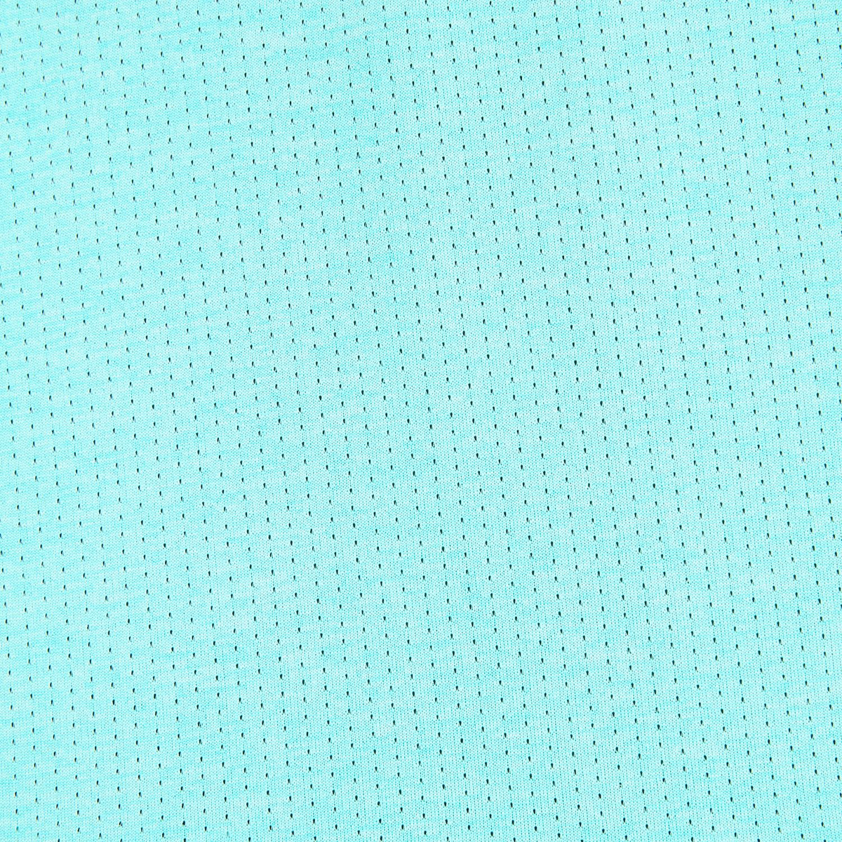355712977.jpg