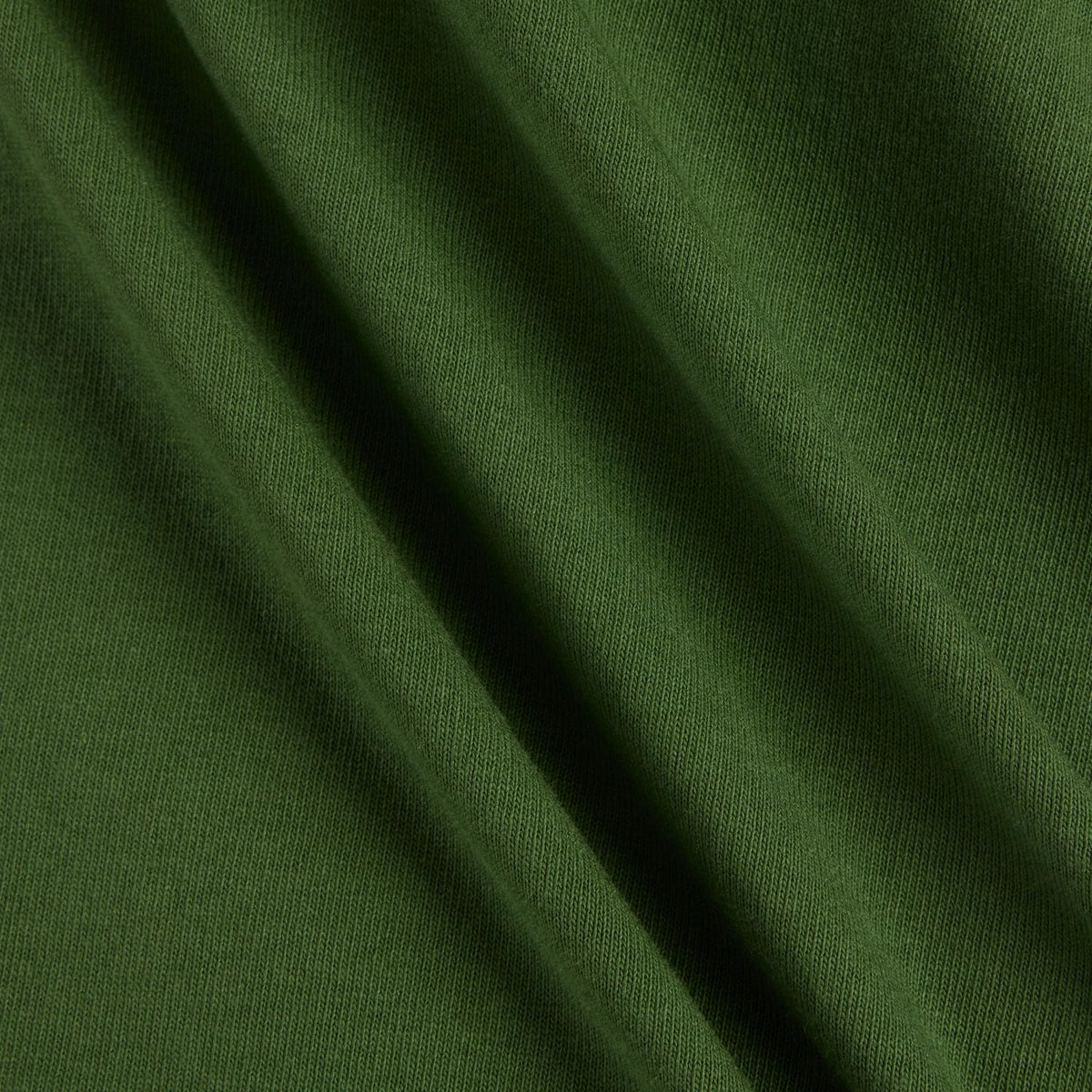355718518.jpg