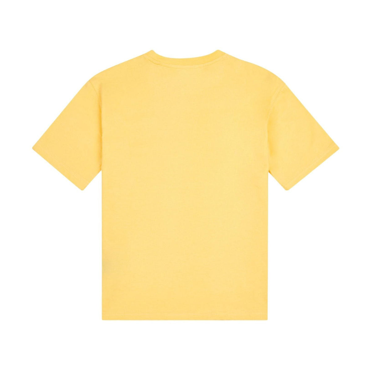 355725445.jpg