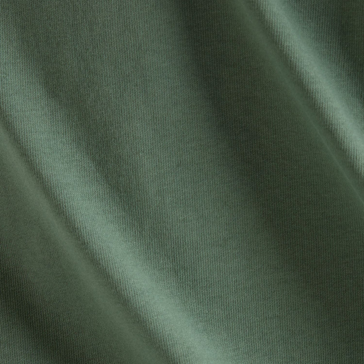 355728449.jpg