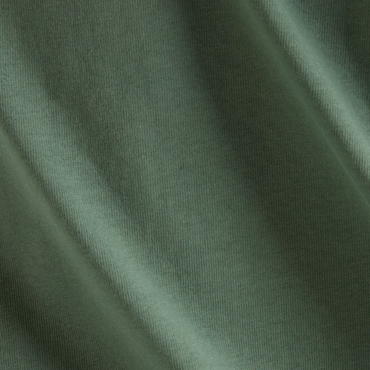 355728449.jpg