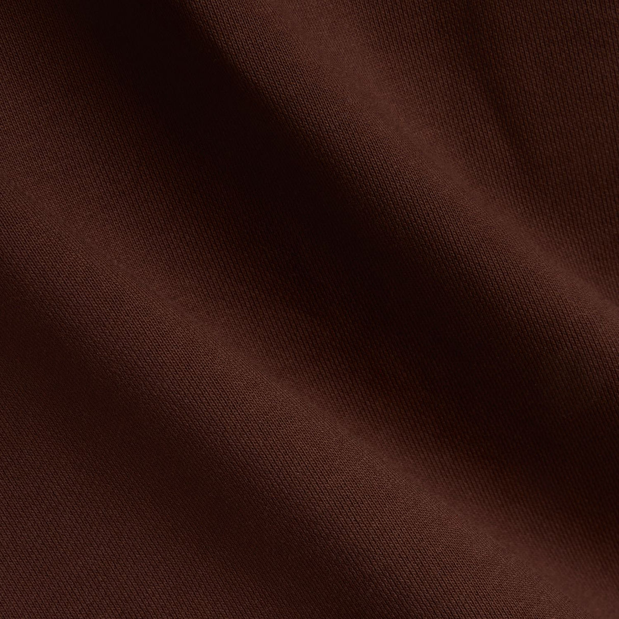 355741531.jpg