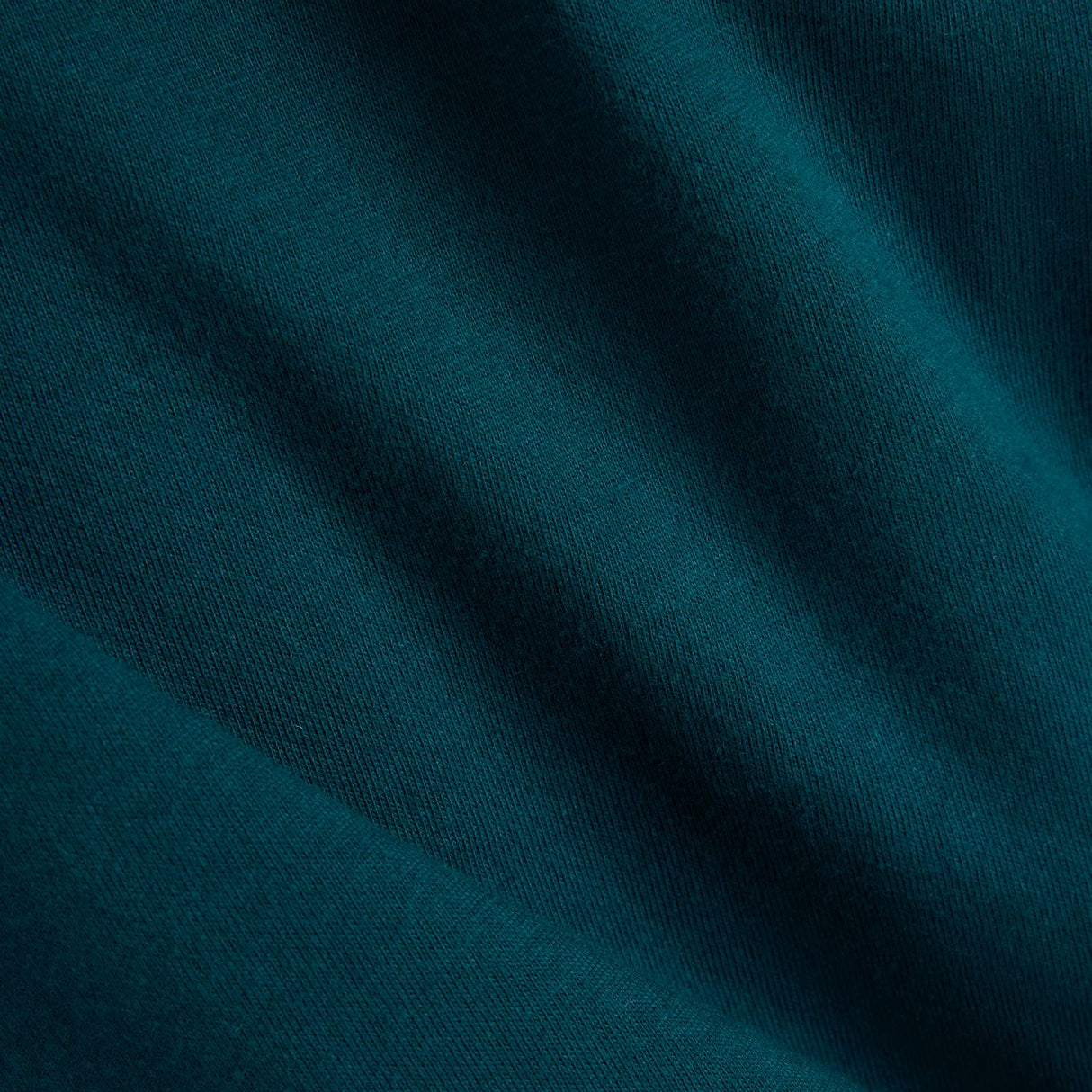 355927913.jpg