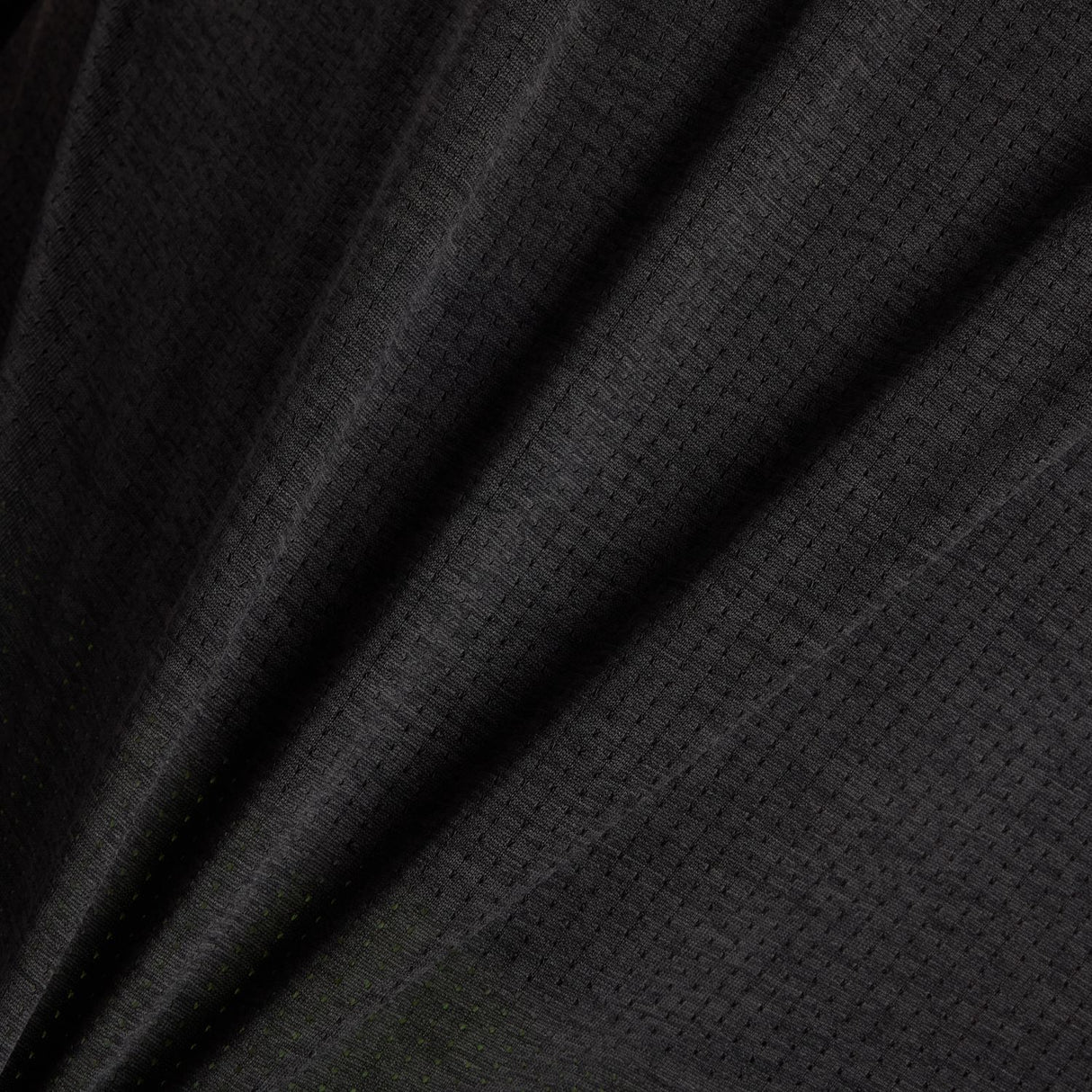355932295.jpg