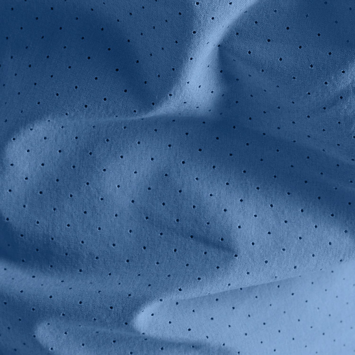 356005119.jpg