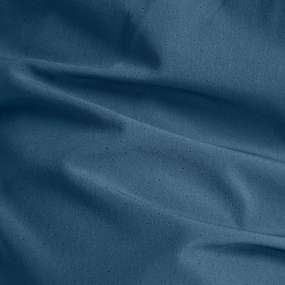 356005542.jpg