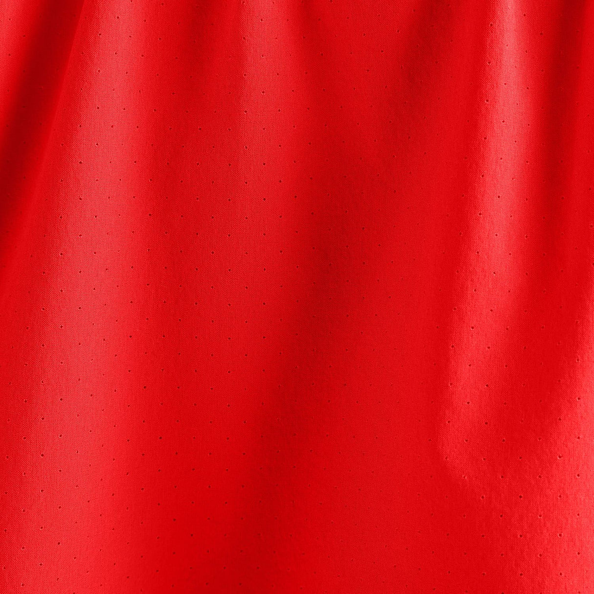 356005833.jpg