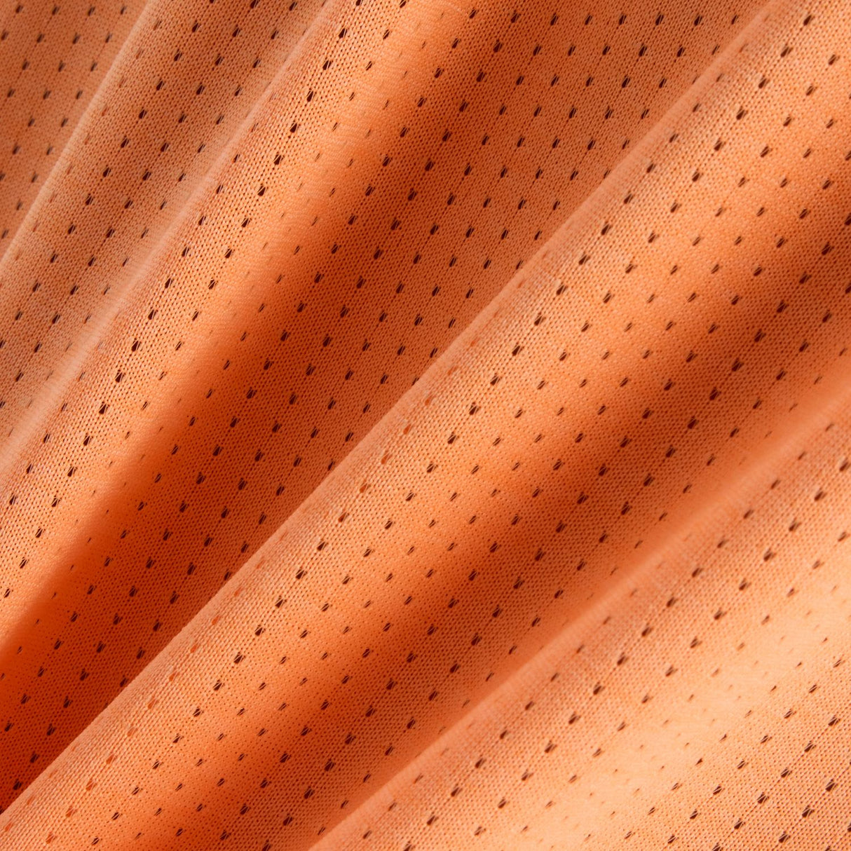 356010086.jpg