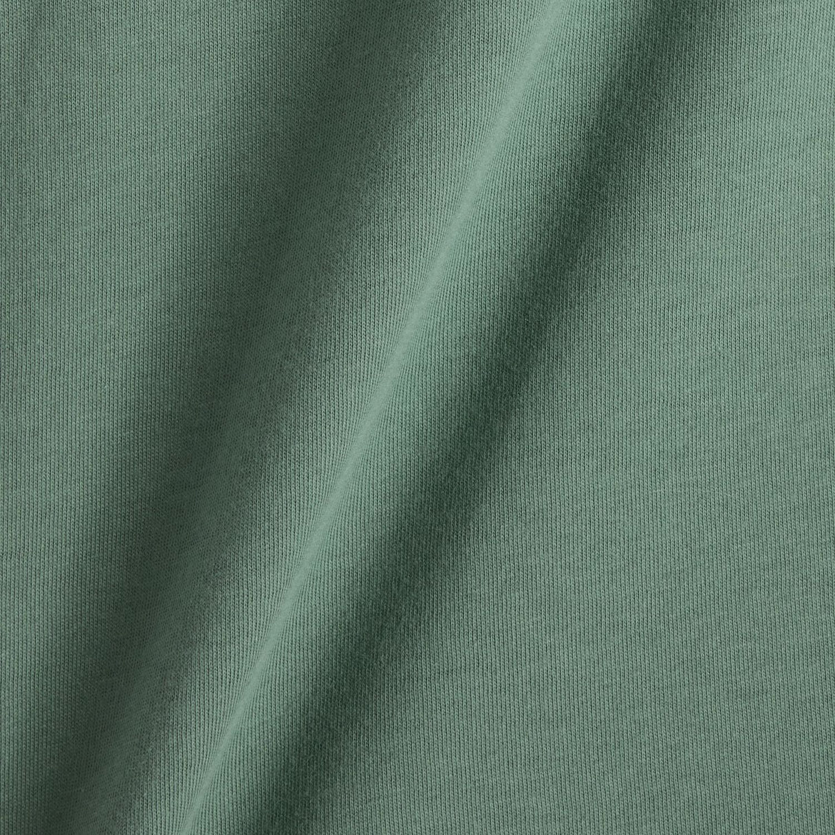 356010218.jpg