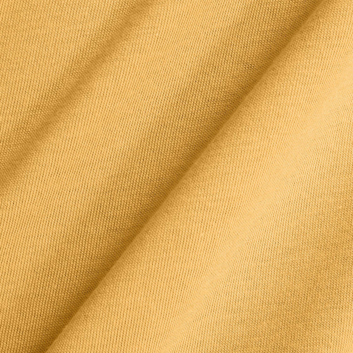 356011947.jpg