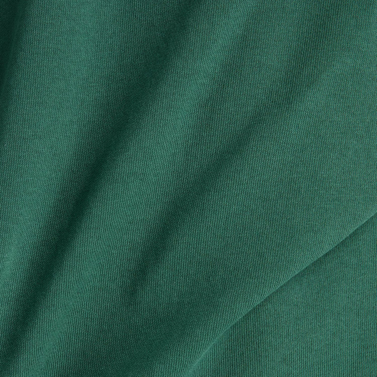 356054689.jpg