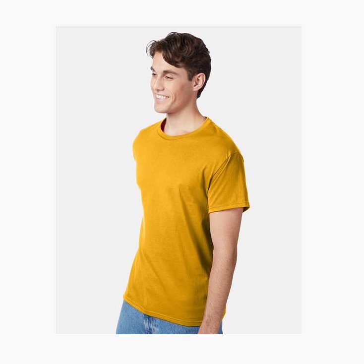 Hanes Men's Authentic T-Shirt-5